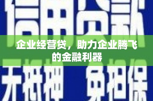 新园企业经营贷，助力企业腾飞的金融利器