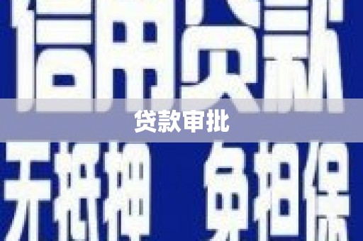 新园贷款审批