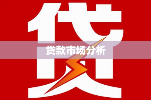新园贷款市场分析