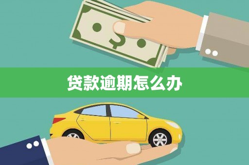 新园贷款逾期怎么办