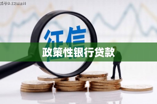 新园政策性银行贷款