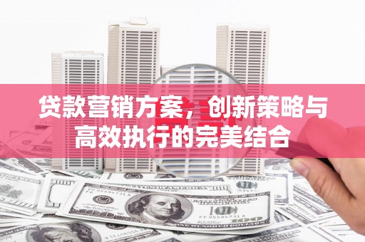 新园贷款营销方案，创新策略与高效执行的完美结合