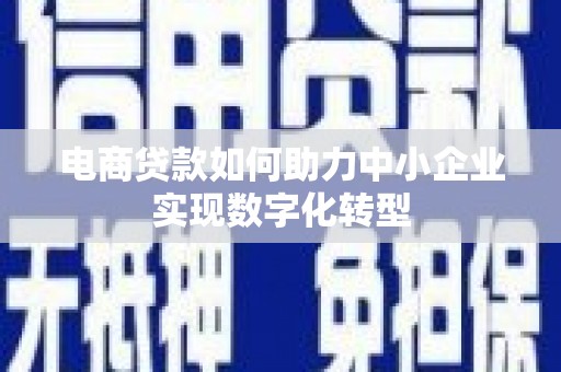新园电商贷款如何助力中小企业实现数字化转型