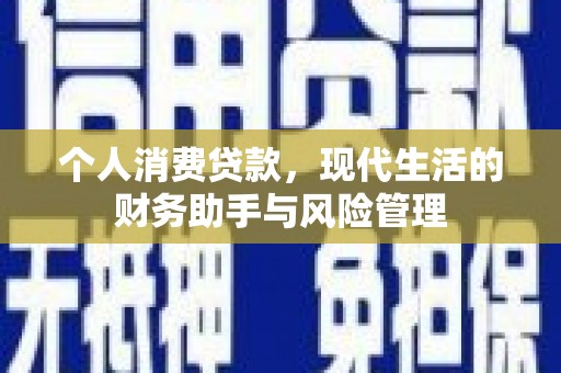 新园个人消费贷款，现代生活的财务助手与风险管理