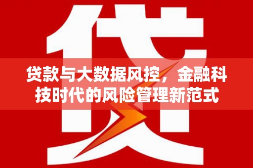新园贷款与大数据风控，金融科技时代的风险管理新范式