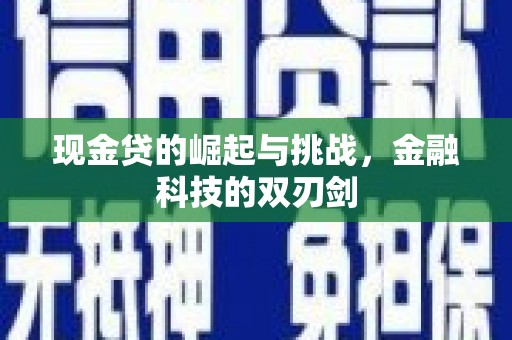 新园现金贷的崛起与挑战，金融科技的双刃剑