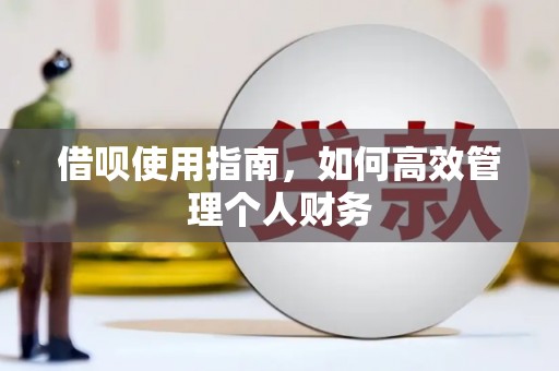 新园借呗使用指南，如何高效管理个人财务