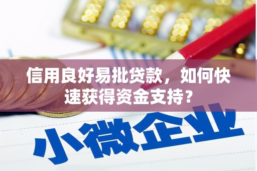 新园信用良好易批贷款，如何快速获得资金支持？