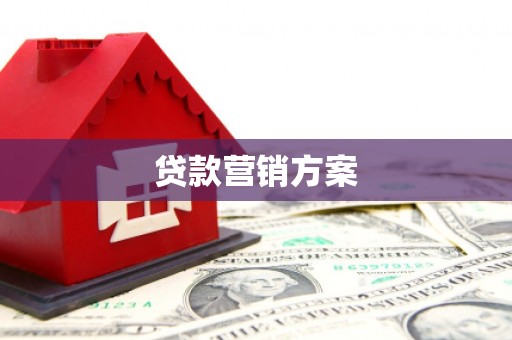 新园贷款营销方案