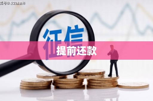 新园提前还款