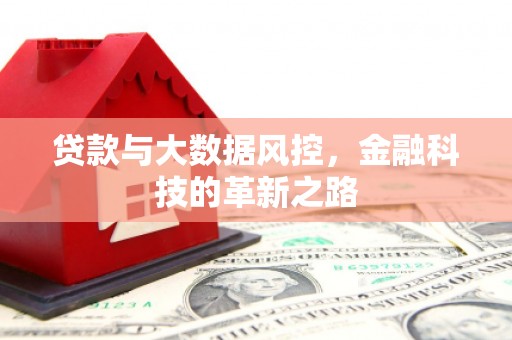 新园贷款与大数据风控，金融科技的革新之路