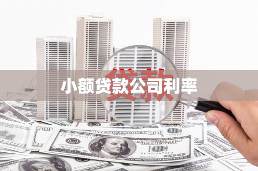 新园小额贷款公司利率