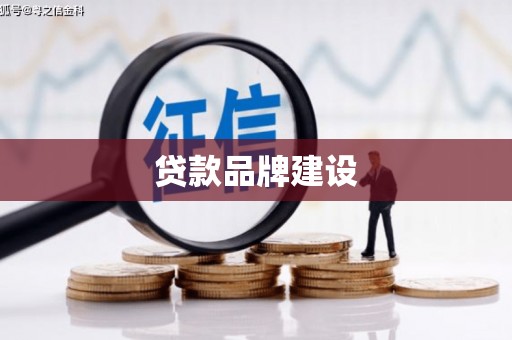 新园贷款品牌建设