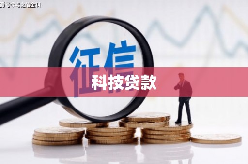 新园科技贷款