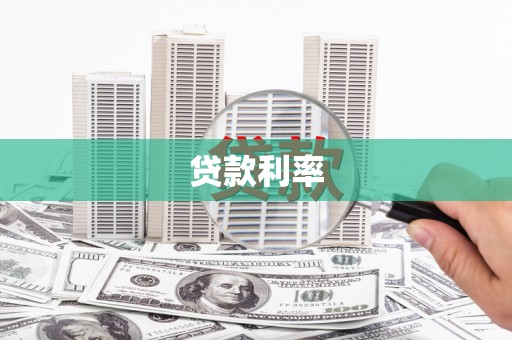 新园贷款利率