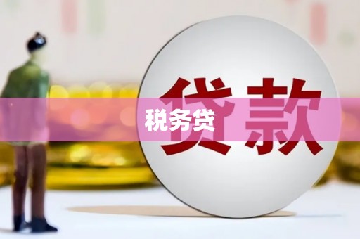 新园税务贷