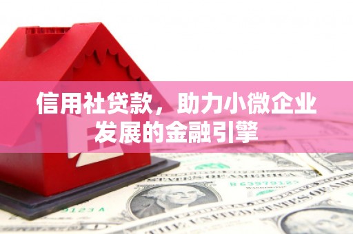 新园信用社贷款，助力小微企业发展的金融引擎