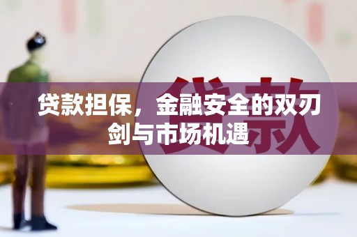 新园贷款担保，金融安全的双刃剑与市场机遇