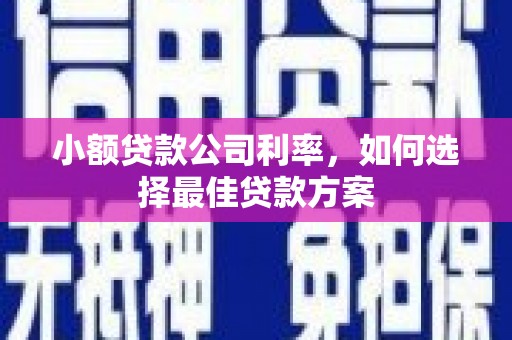 新园小额贷款公司利率，如何选择最佳贷款方案