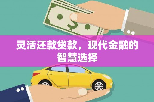 新园灵活还款贷款，现代金融的智慧选择