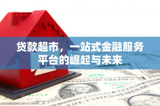 新园贷款超市，一站式金融服务平台的崛起与未来