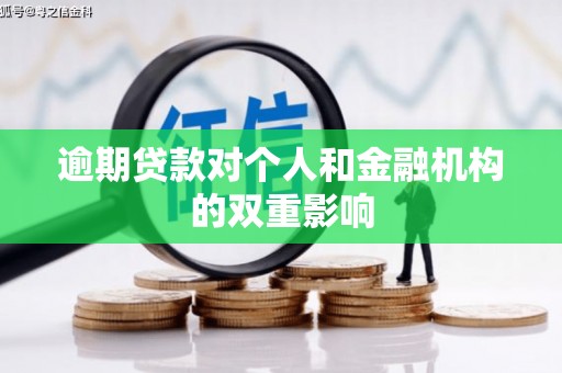 新园逾期贷款对个人和金融机构的双重影响