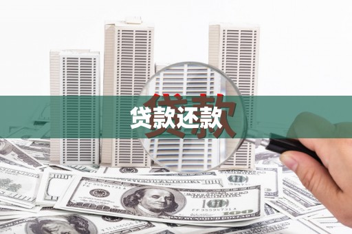 新园贷款还款
