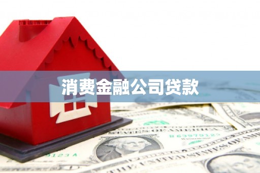 新园消费金融公司贷款