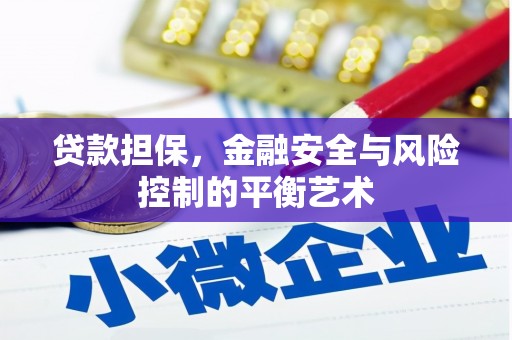新园贷款担保，金融安全与风险控制的平衡艺术