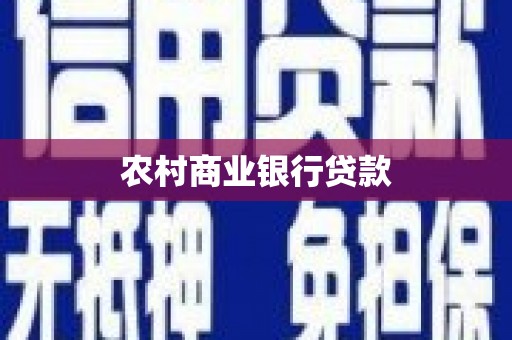 新园农村商业银行贷款