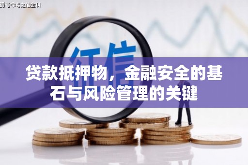 新园贷款抵押物，金融安全的基石与风险管理的关键