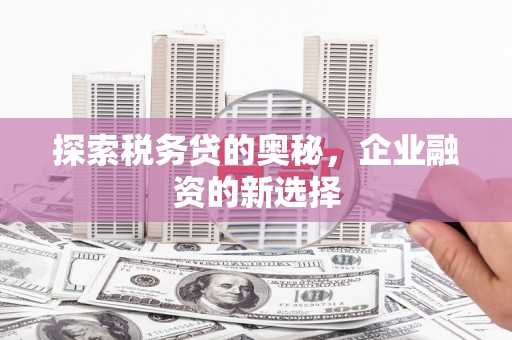 新园探索税务贷的奥秘，企业融资的新选择