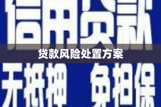 新园贷款风险处置方案