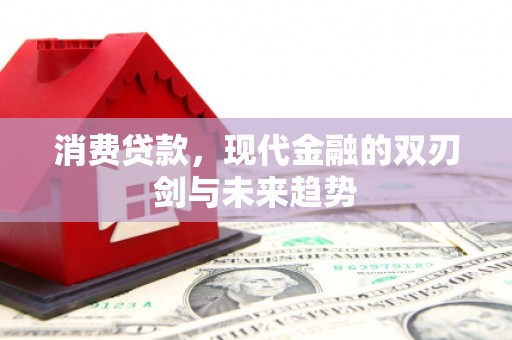 新园消费贷款，现代金融的双刃剑与未来趋势