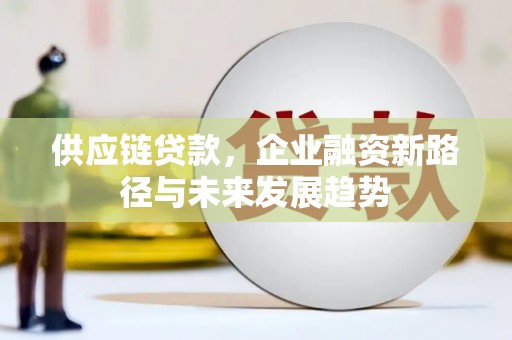 新园供应链贷款，企业融资新路径与未来发展趋势