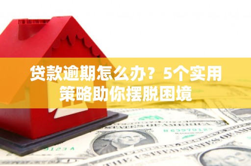 新园贷款逾期怎么办？5个实用策略助你摆脱困境