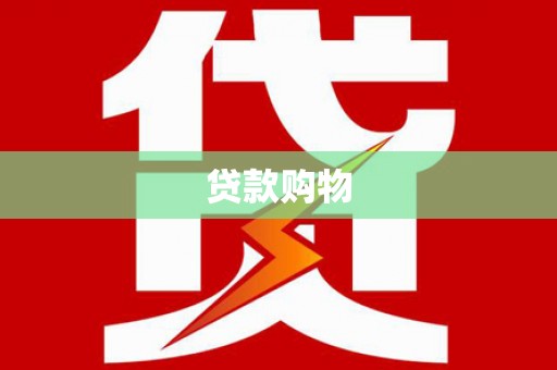 新园贷款购物