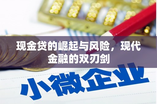 新园现金贷的崛起与风险，现代金融的双刃剑
