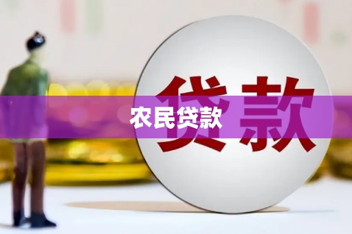 新园农民贷款