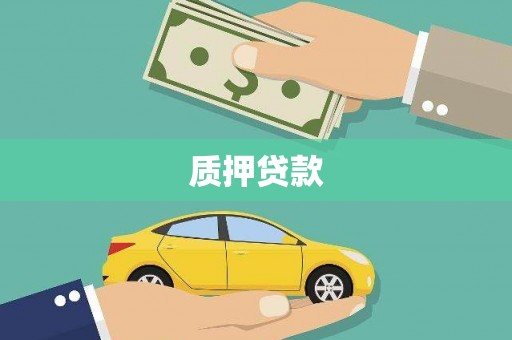 新园质押贷款