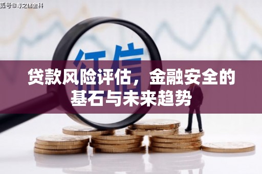新园贷款风险评估，金融安全的基石与未来趋势