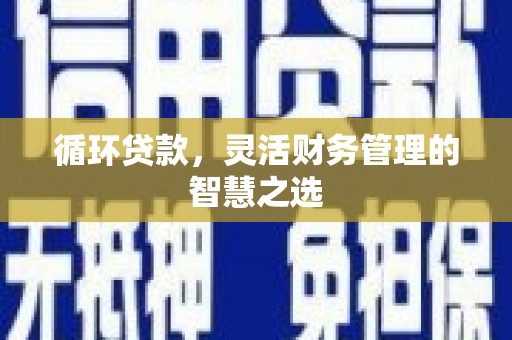新园循环贷款，灵活财务管理的智慧之选