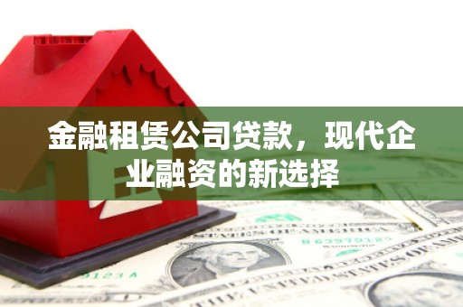 新园金融租赁公司贷款，现代企业融资的新选择