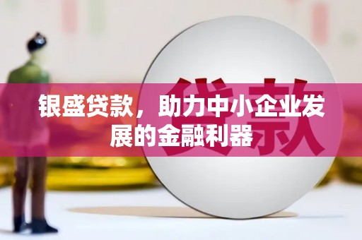新园银盛贷款，助力中小企业发展的金融利器