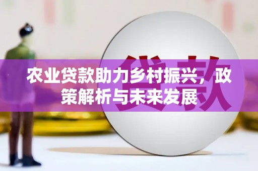 新园农业贷款助力乡村振兴，政策解析与未来发展