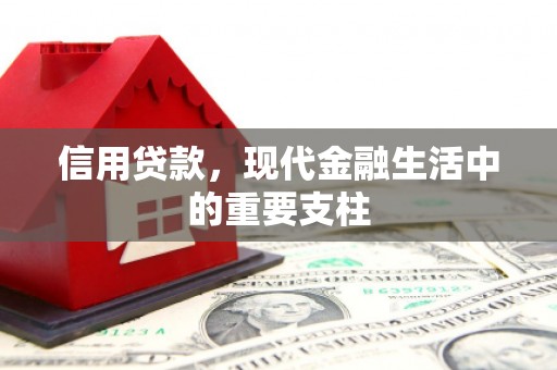 新园信用贷款，现代金融生活中的重要支柱