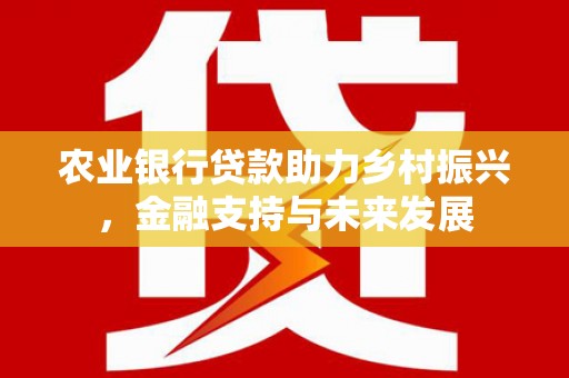 新园农业银行贷款助力乡村振兴，金融支持与未来发展
