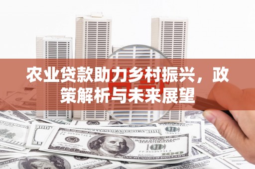 新园农业贷款助力乡村振兴，政策解析与未来展望