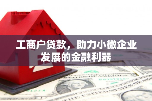 新园工商户贷款，助力小微企业发展的金融利器