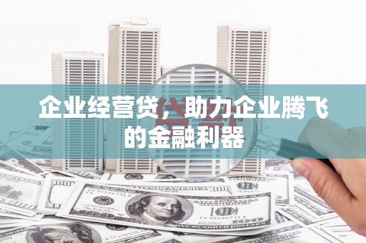 新园企业经营贷，助力企业腾飞的金融利器